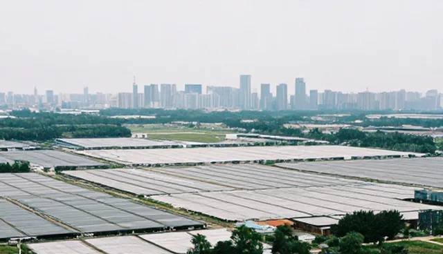 核对清单：如何通过选型清单优化资源采购